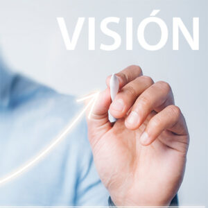 Vision