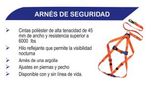 Arnes de Seguridad